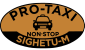 ProTaxi Sighetu Marmatiei – Taxi Sighet – Tel: 0262 977